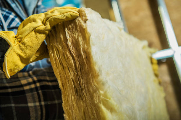 Best Fiberglass Insulation in Sierra Vista, AZ